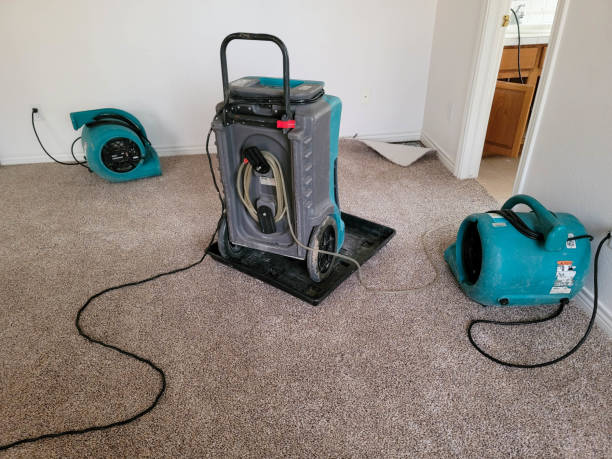 Best Mold removal after water damage  in North Granby, CT