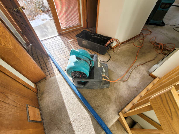 Best Commercial water damage restoration  in North Granby, CT