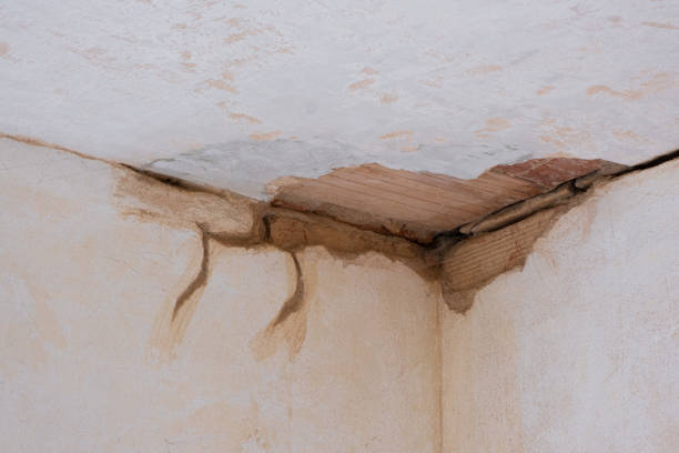 Best Sewage cleanup and water damage restoration  in North Granby, CT