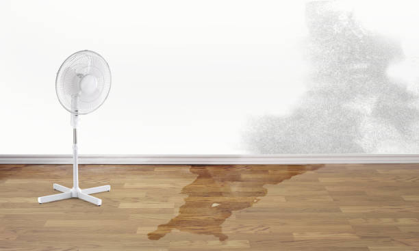 Best Water damage repair service  in North Granby, CT