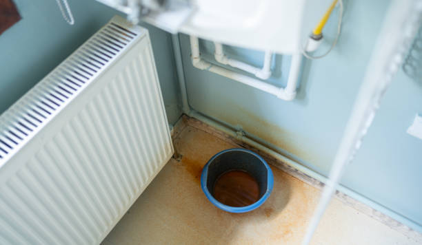 Best Professional water damage repair  in North Granby, CT