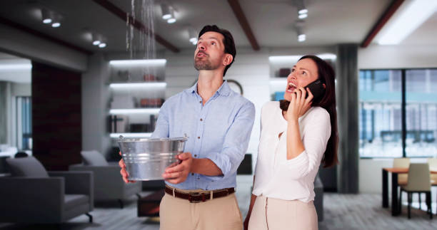 Best Water damage mitigation services  in North Granby, CT